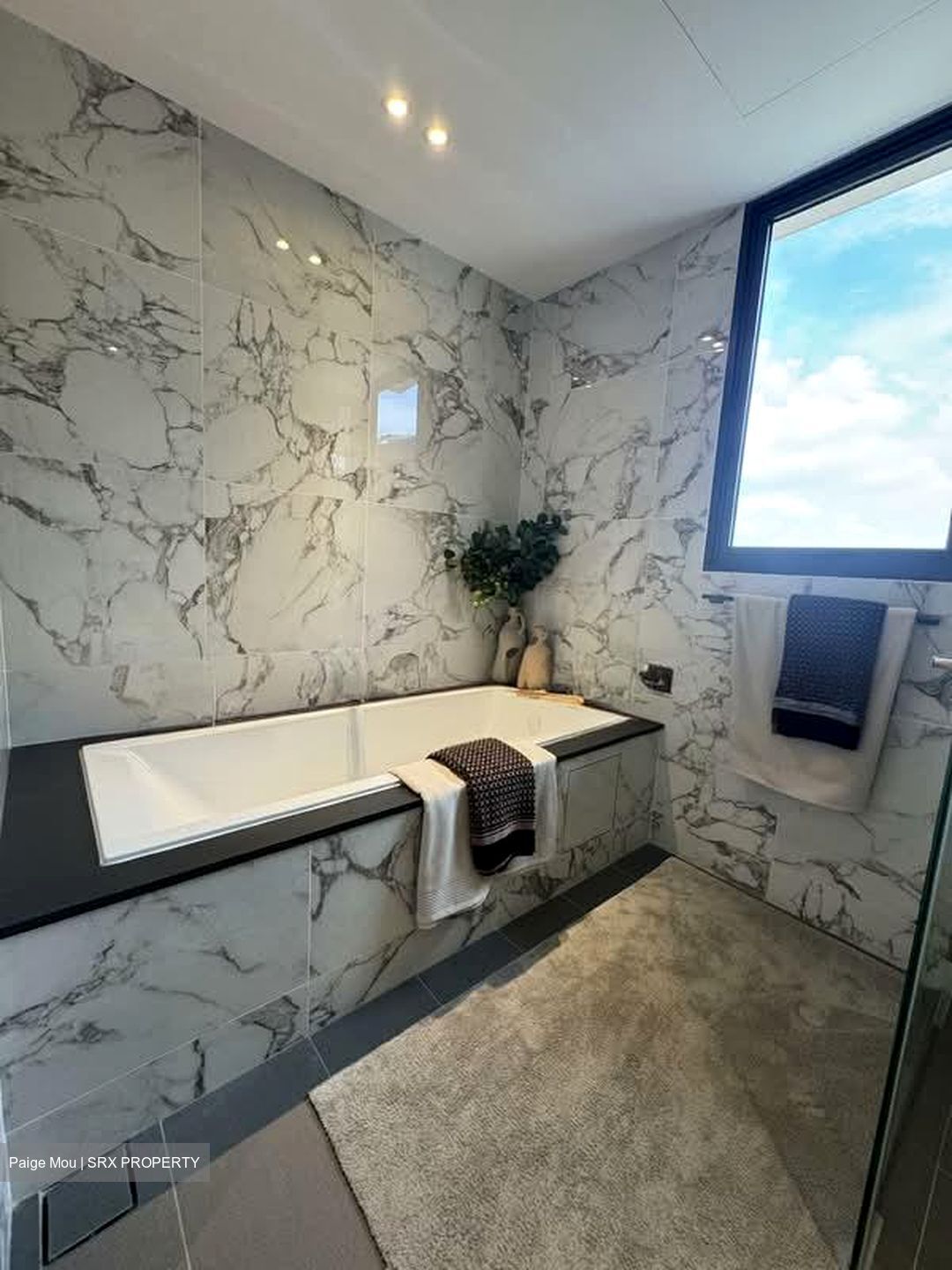 Tembusu Grand (D15), Condominium #553870451